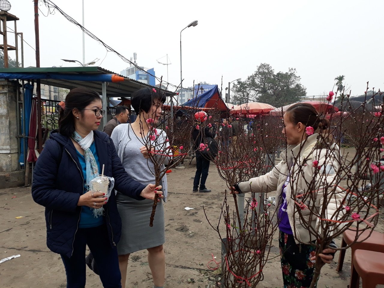 dao-nhat-tan-do-bo-cho-hoa-ha-noi