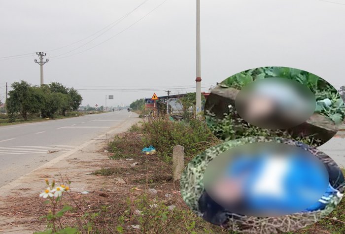 Xe 'điên' tông chết 2 nữ sinh rồi bỏ chạy ở Hải Phòng: Lái xe khai gì?
