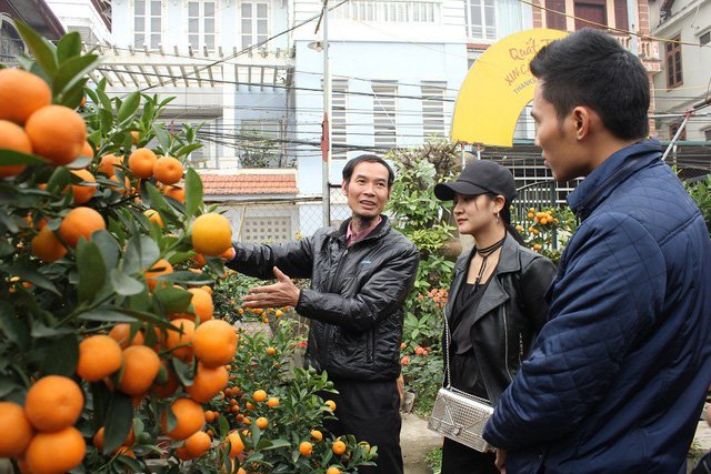 Quất cảnh hình rồng 