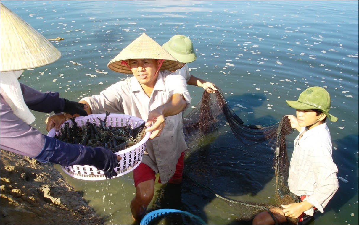 Báo Thừa Thiên Huế Online
