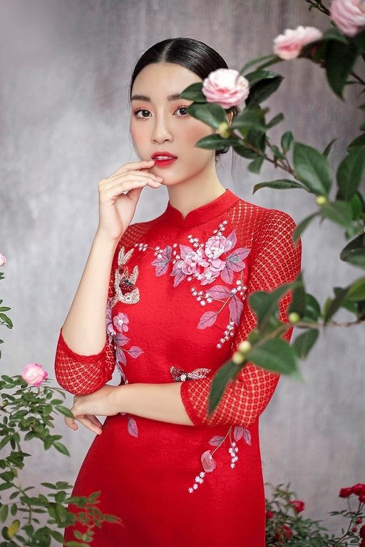 ngam-nhin-hoa-hau-do-my-linh-duyen-dang-voi-ao-dai-cach-tan-ngay-tet
