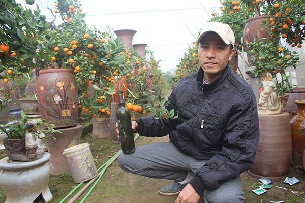 thi-truong-quat-bao-hoa-trong-con-sot-bonsai