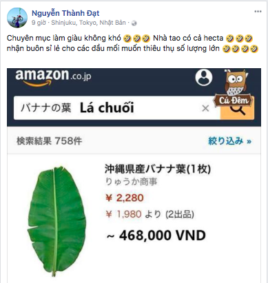 Du học sinh nói gì về lá chuối 500.000 đồng trên Amazon Nhật?