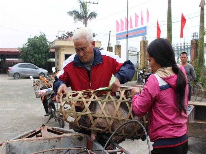 Hỗ trợ nông dân Nam Định chịu ảnh hưởng của cơn bão Mirinae