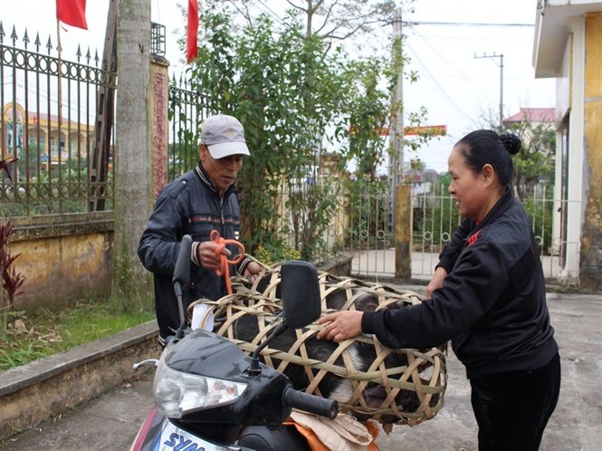 Hỗ trợ nông dân Nam Định chịu ảnh hưởng của cơn bão Mirinae