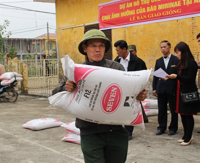 Hỗ trợ nông dân Nam Định chịu ảnh hưởng của cơn bão Mirinae