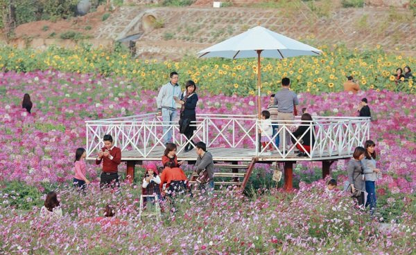 chang-can-di-dau-xa-nhung-diem-chup-anh-cuoi-nam-quanh-ha-noi-khien-gioi-tre-me-man