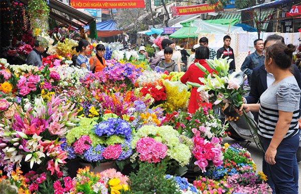 chang-can-di-dau-xa-nhung-diem-chup-anh-cuoi-nam-quanh-ha-noi-khien-gioi-tre-me-man