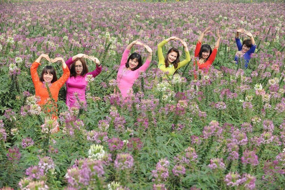 chang-can-di-dau-xa-nhung-diem-chup-anh-cuoi-nam-quanh-ha-noi-khien-gioi-tre-me-man