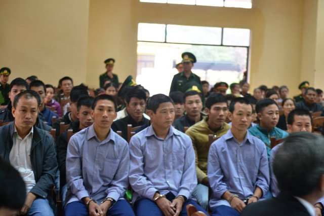 Tòa quân sự xét xử 21 người phá rừng pơ mu ở Quảng Nam
