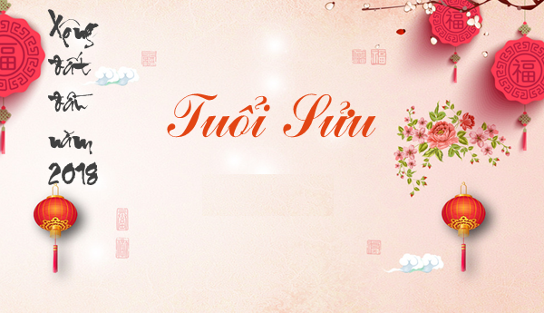 chon-tuoi-xong-nha-cho-nguoi-tuoi-dinh-suu-nam-mau-tuat