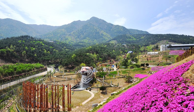 Vẻ đẹp của quê hương HLV Park Hang Seo