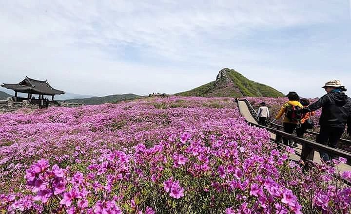 Vẻ đẹp của quê hương HLV Park Hang Seo