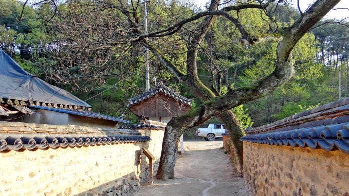 Vẻ đẹp của quê hương HLV Park Hang Seo