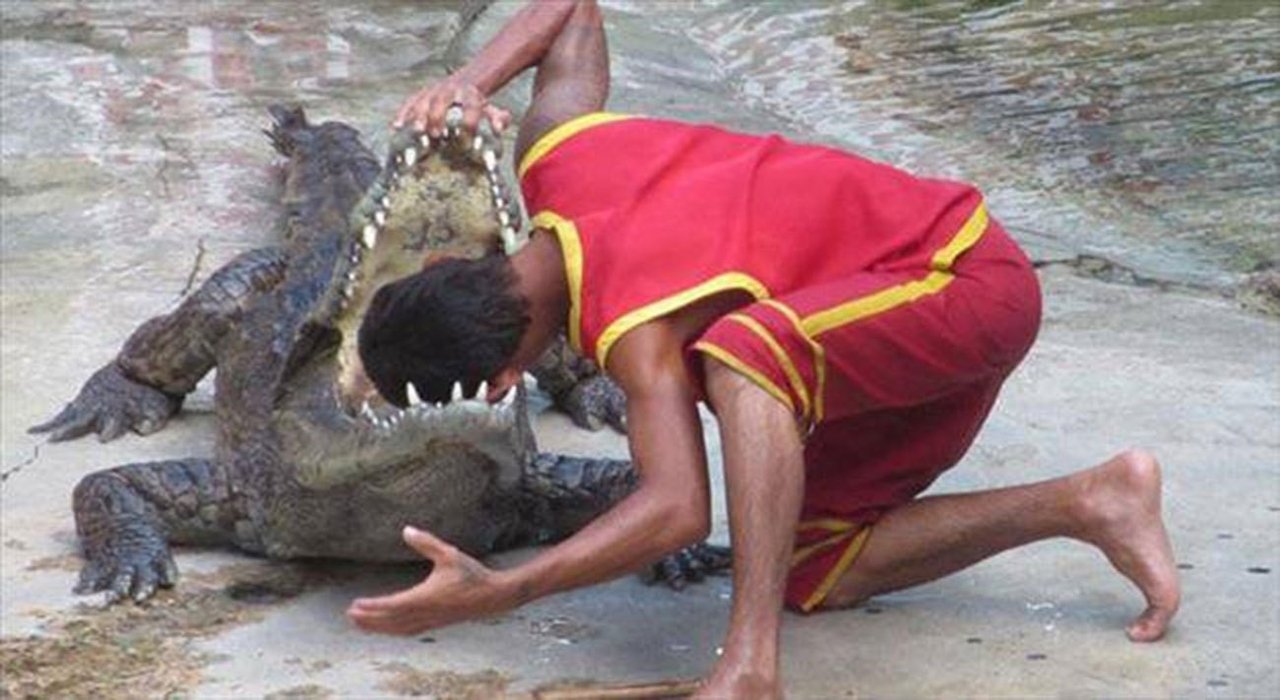 17 cảnh tượng hú hồn chứng tỏ con người chính là những thành phần liều lĩnh có tổ chức nhất