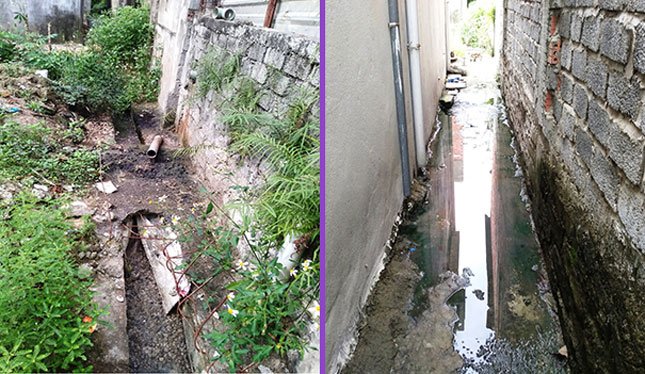 Bó hẹp vệt phân cách cây xanh ngăn bụi
