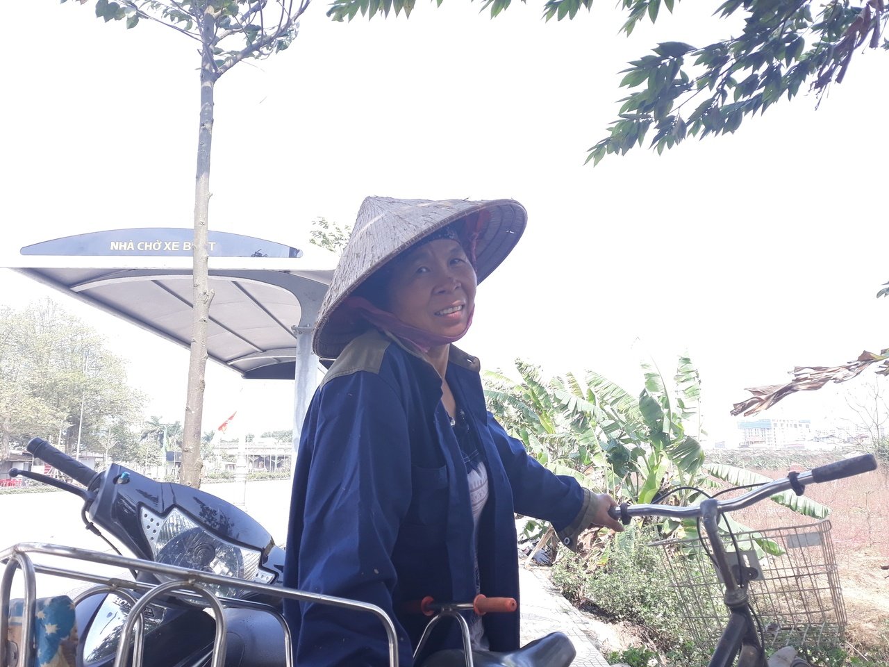 nhan-chung-phat-hien-vuon-dao-cua-nguoi-dan-bi-pha-cu-nam-nao-dao-dep-thi-lai-co-ke-gian-pha-hoai
