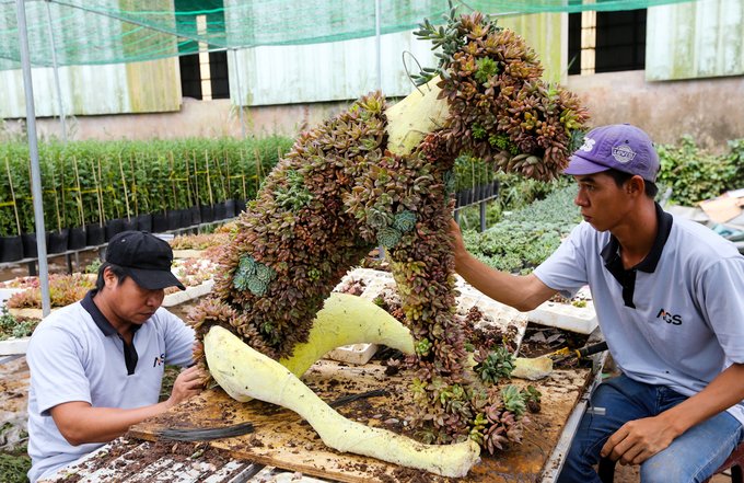 Mô hình đàn chó Phú Quốc trước ngày ra đường hoa Nguyễn Huệ