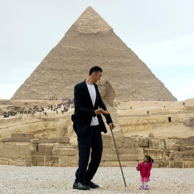 24h qua ảnh: Sư tử lao mình hạ gục ngựa vằn trên đồng cỏ