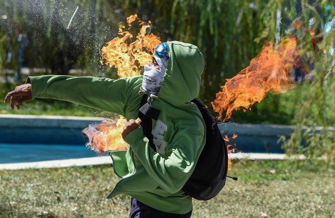 24h qua ảnh: Sư tử lao mình hạ gục ngựa vằn trên đồng cỏ