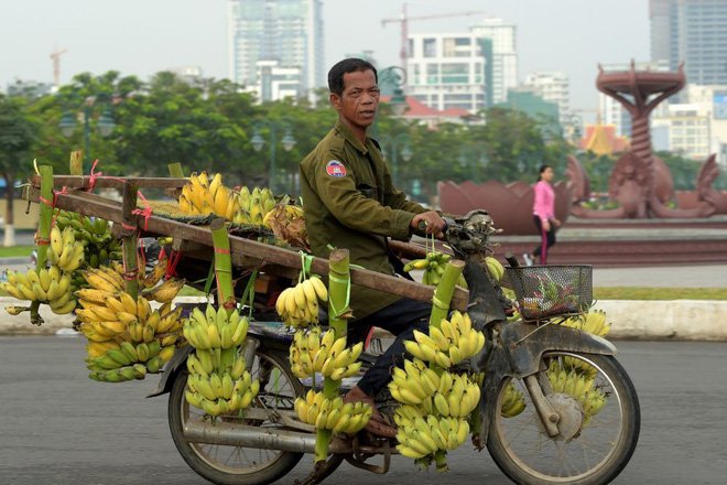 24h qua ảnh: Sư tử lao mình hạ gục ngựa vằn trên đồng cỏ