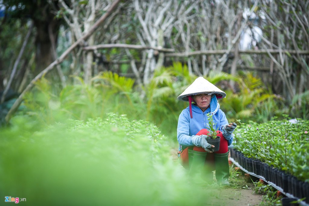 Bên trong xưởng thi công đường hoa Nguyễn Huệ ở Sa Đéc