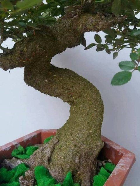 Độc, lạ hoa hồng giả cổ giá 1 triệu đồng/cây cháy hàng dịp Tết