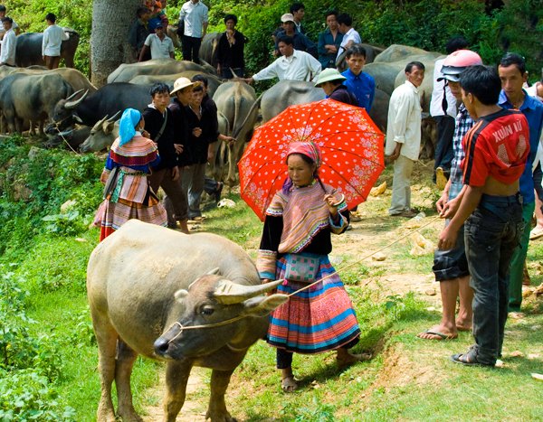 Trở lại xứ Mùa Ca