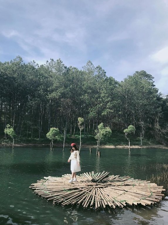 theo-chan-co-gai-hai-phong-toi-khu-vuon-bi-mat-chi-can-dung-im-cung-co-anh-dep-o-da-lat