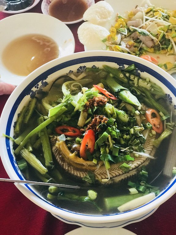 Gần Tết đi thăm làng quýt hồng Lai Vung