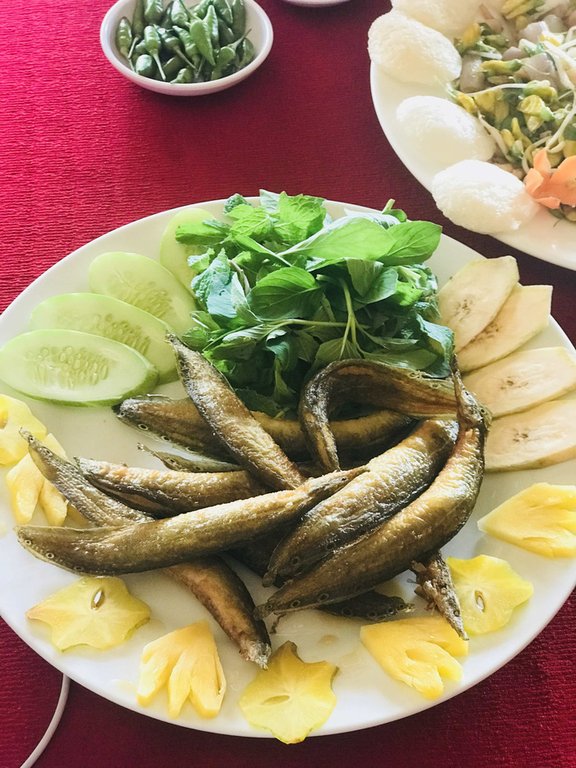 Gần Tết đi thăm làng quýt hồng Lai Vung