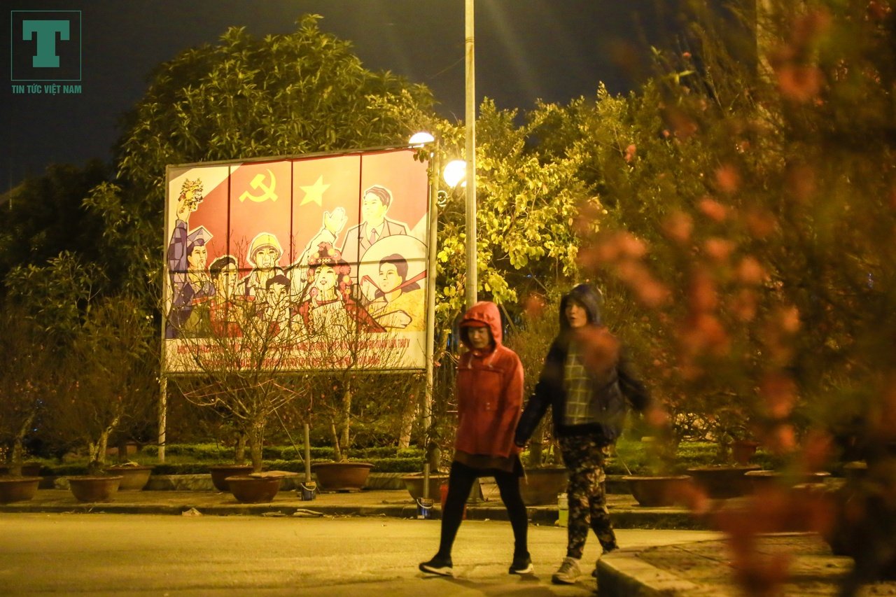 trong-dao-dem