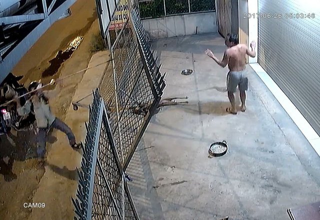 'Bí mật' lò tiêu thụ chó trộm