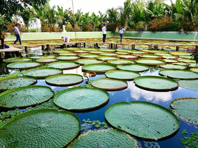 Những điểm đến trong nước hứa hẹn “gây sốt” năm 2018
