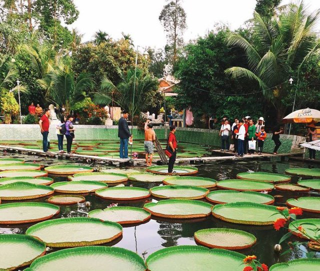 Những điểm đến trong nước hứa hẹn “gây sốt” năm 2018