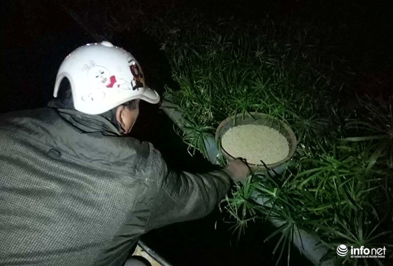 Cận cảnh 