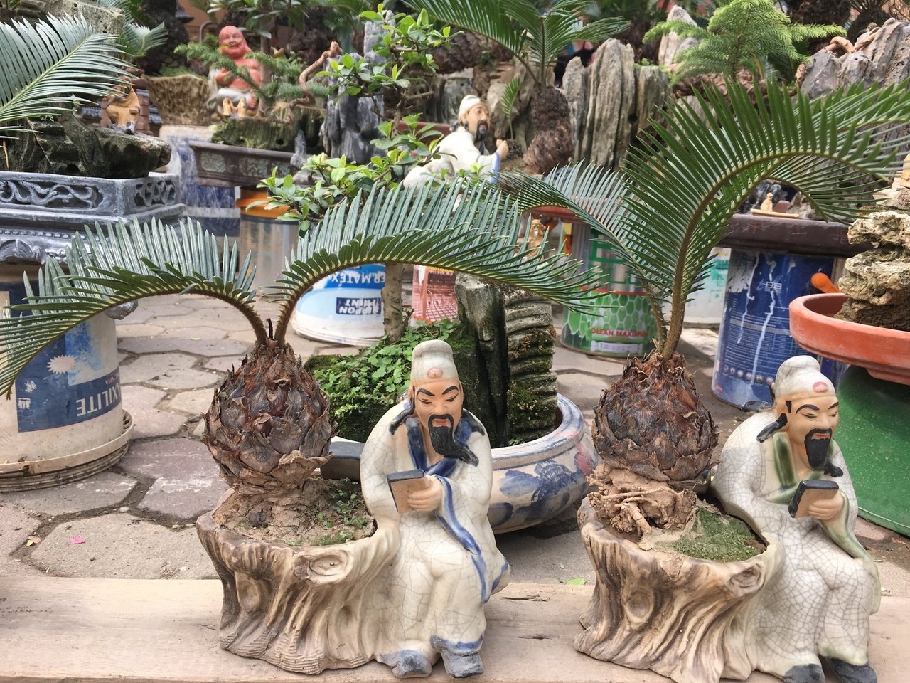van-tue-bonsai-gia-hang-chuc-trieu-dong-cho-nguoi-dan-ha-noi-mua-choi-tet