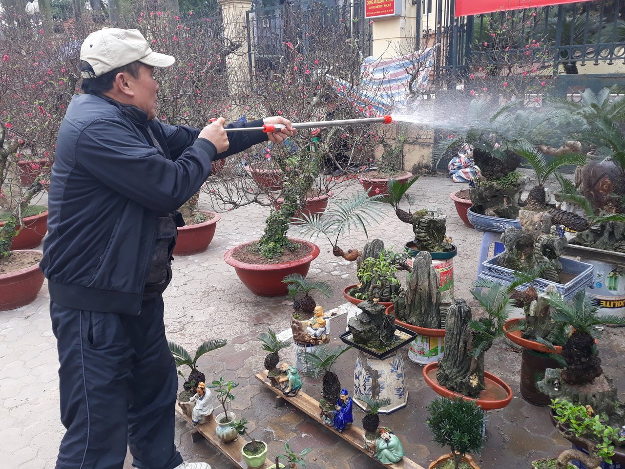van-tue-bonsai-gia-hang-chuc-trieu-dong-cho-nguoi-dan-ha-noi-mua-choi-tet