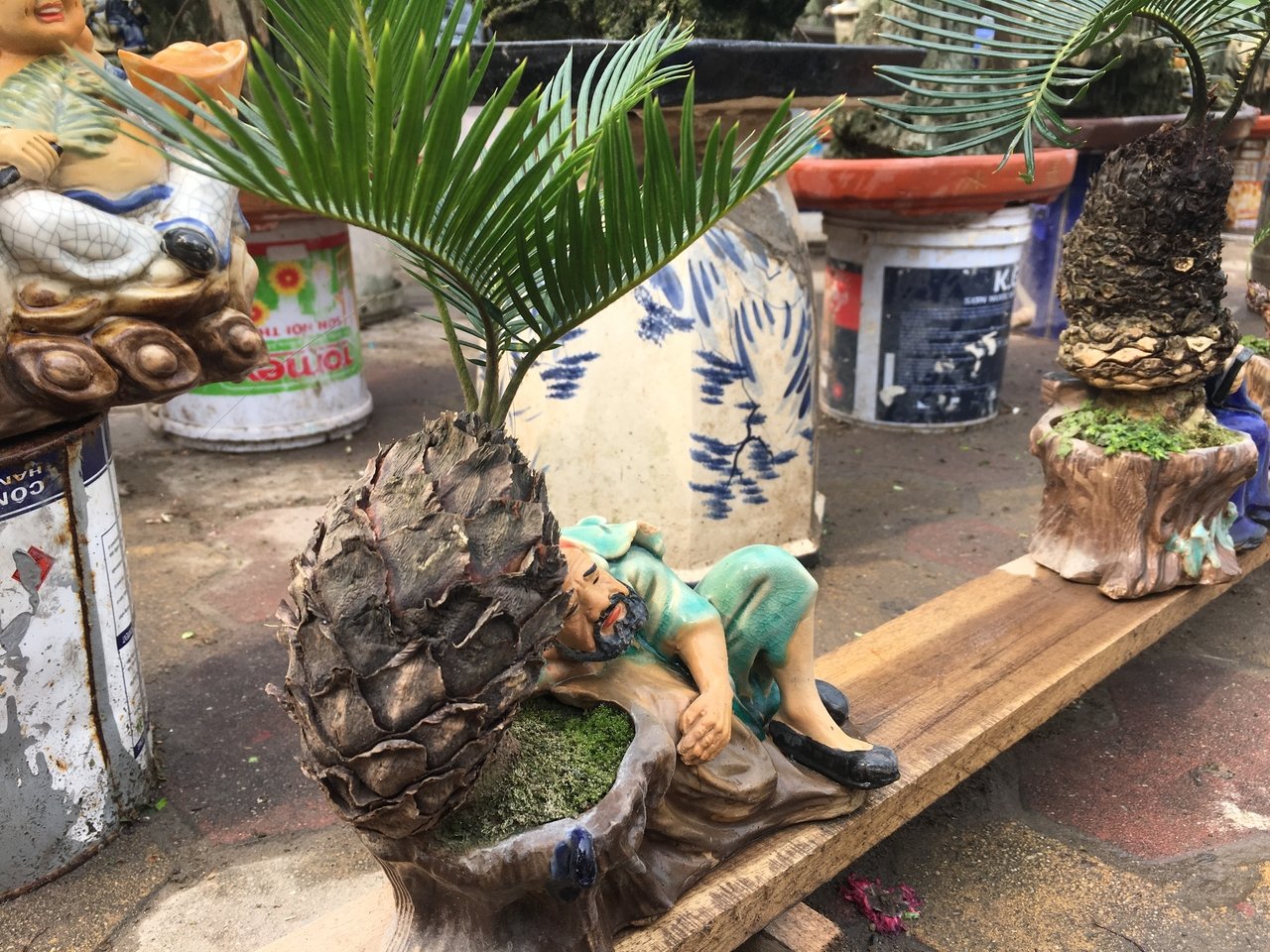 van-tue-bonsai-gia-hang-chuc-trieu-dong-cho-nguoi-dan-ha-noi-mua-choi-tet
