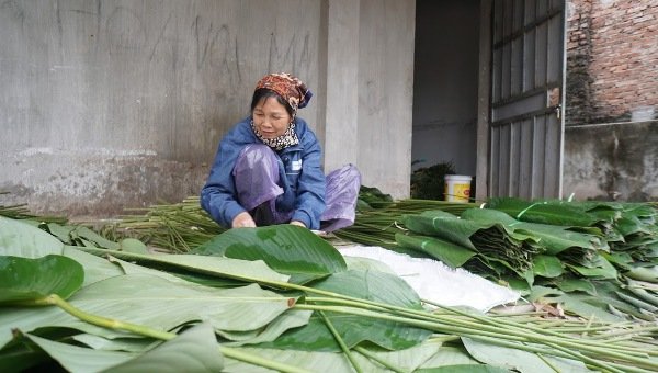 nhon-nhip-lang-trong-la-dong-lon-nhat-ha-noi
