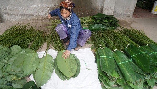 nhon-nhip-lang-trong-la-dong-lon-nhat-ha-noi