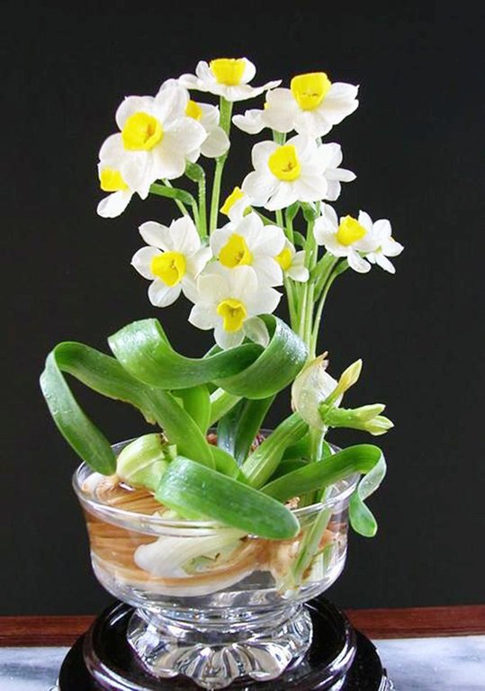 Ngày tết tránh chưng hoa độc