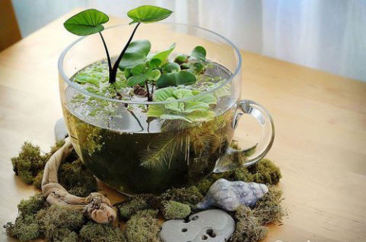 Độc đáo những tiểu cảnh trên chén trà trang trí ngày Tết
