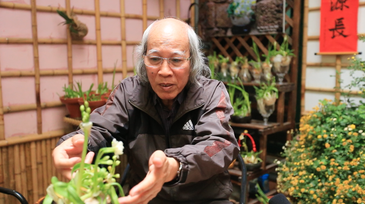 thu-choi-hoa-thuy-tien-don-tet-cua-nguoi-ha-noi