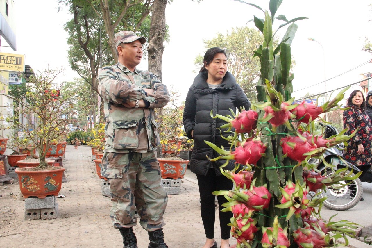 doc-dao-voi-nhung-chau-thang-long-canh-gay-sot-thi-truong-cay-ngay-tet