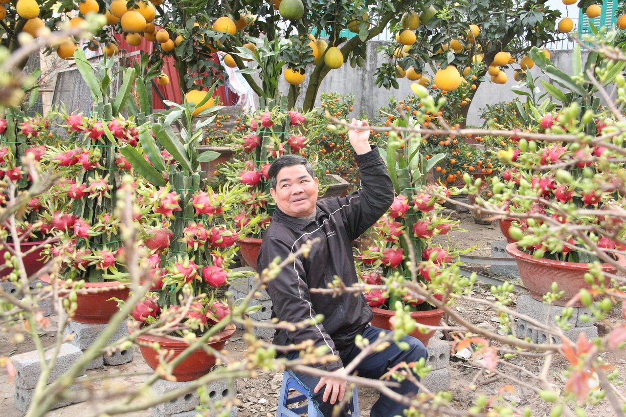 doc-dao-voi-nhung-chau-thang-long-canh-tien-trieu-gay-sot-thi-truong-cay-ngay-tet