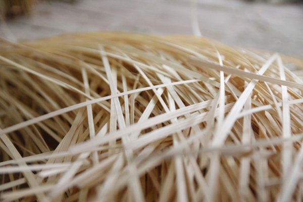 ha-noi-lang-may-tre-dan-chay-hang-dip-tet