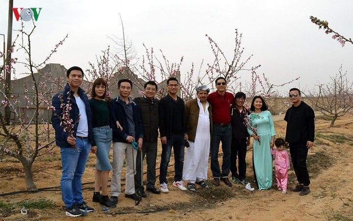Sắc đào trên sa mạc Sahara