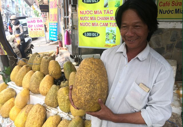Lạ lẫm bưởi 