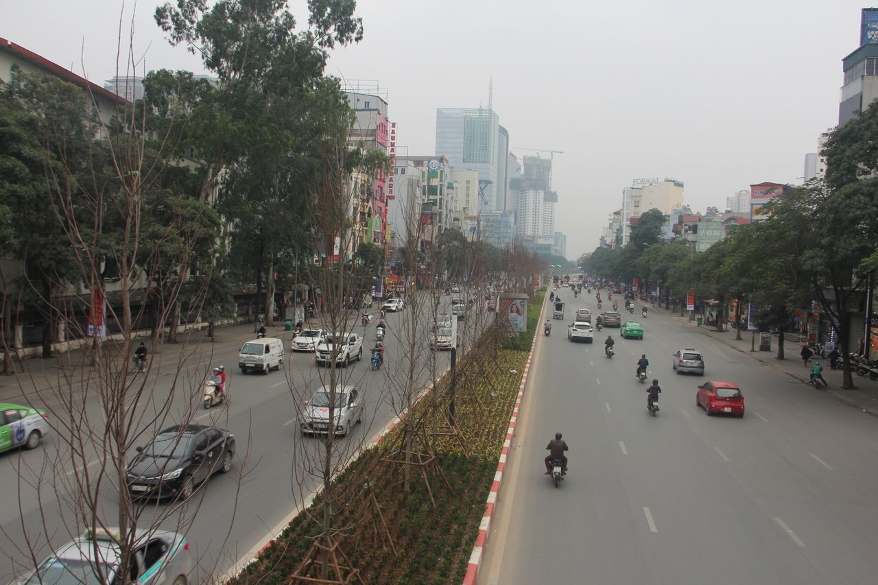 phong-la-do-ha-noi-dam-nhung-nhanh-loc-dau-tien-trong-ngay-dong-buot-gia